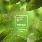 pantone-coy2017-heroshot2-rgb-1024x662.jpg