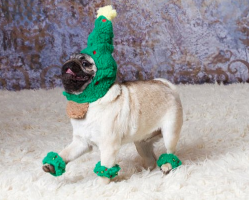 pug tree.png