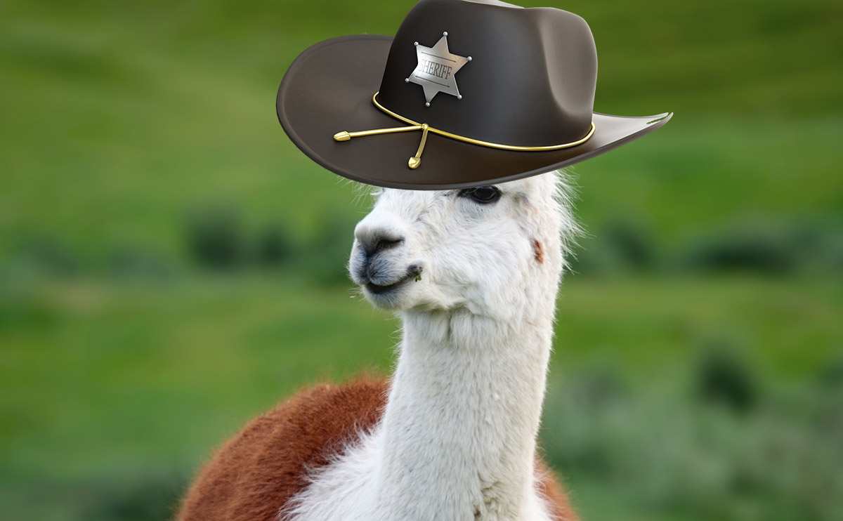 llama 2.jpg