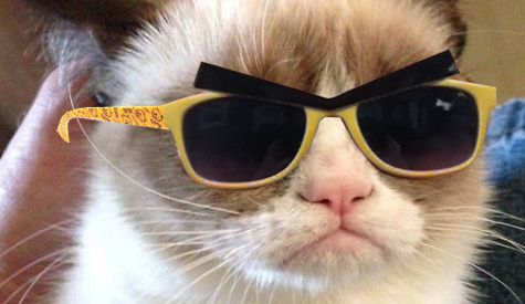 grumpy-cat-wearing-sunglasses.jpg