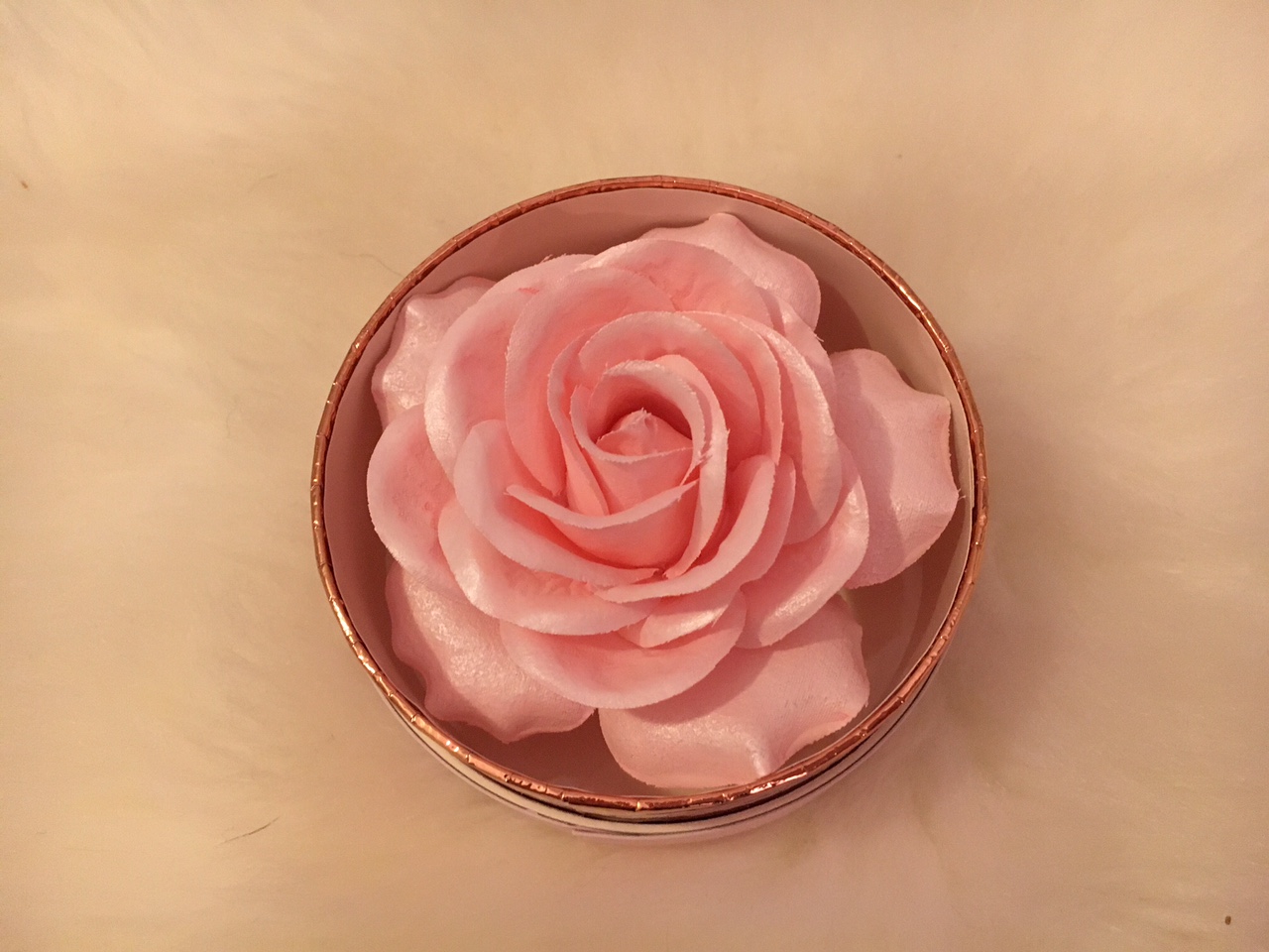 Blush Rose.jpg