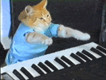Keyboard-Cat---Animated-GIF.gif