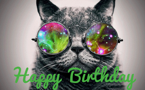 cool-cat-happy-birthday-gif.gif