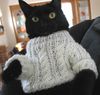 kittysweater.jpg