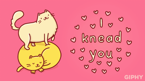 174225-Adorable-Valentines-Day-Card.gif