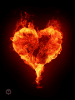 http___bestanimations.com_Signs&Shapes_Hearts_heart-fire-animation29.gif