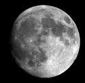 locustmoon