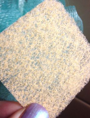 Individual facial sponge from CVS (generic version of buf-puf)