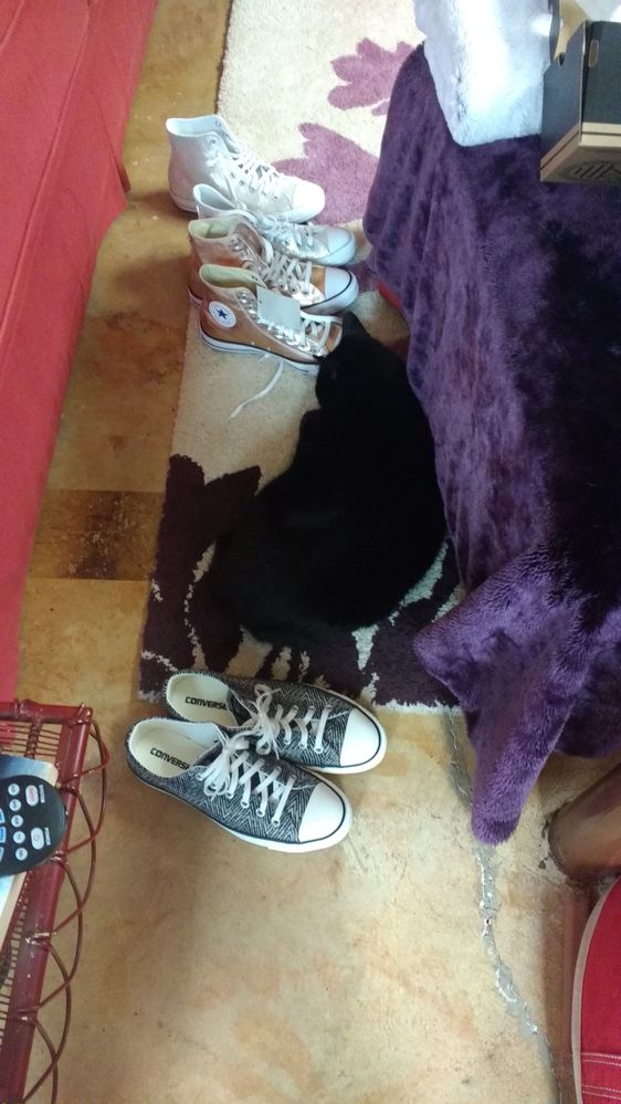 At least he shares my shoe fetish