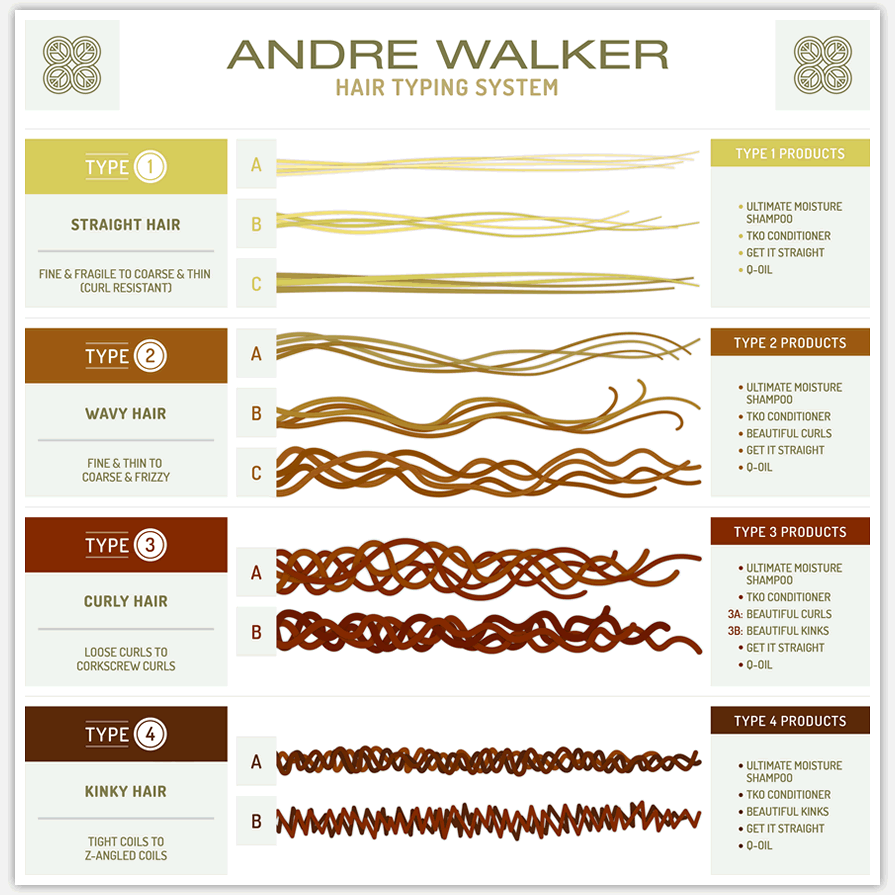 Andre Walker's Hair Typing