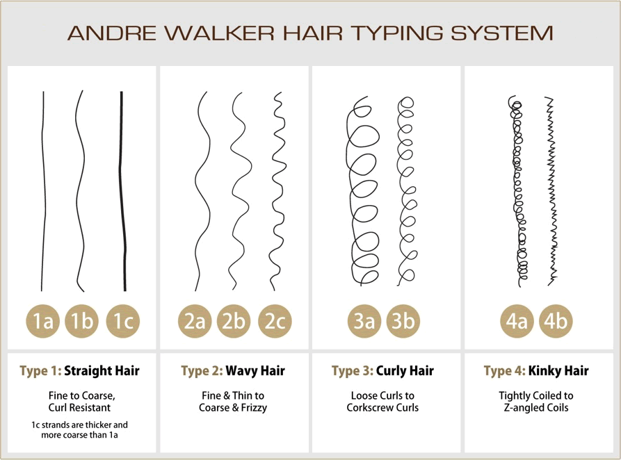 Andre Walker's Hair Typing System