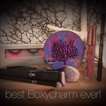Boxycharm Subscription... Worth it or no?