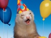 Funny-Animals-Party-Balloons-6-320x240.jpg