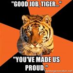 good job tiger.jpg
