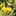 Bee2015