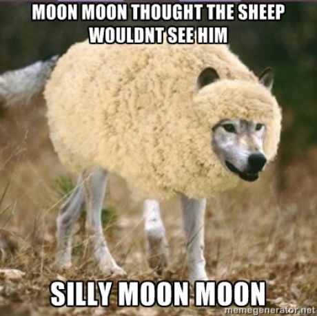 Moon Moon sheep.jpg