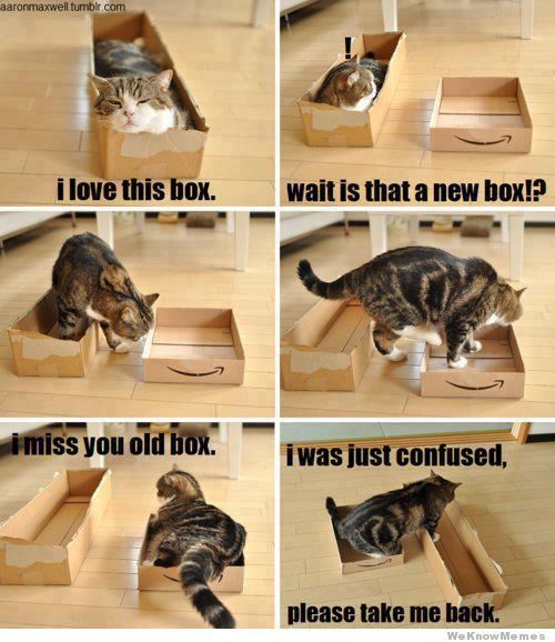 relationships-are-like-cats-a-boxes