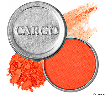 cargo.PNG