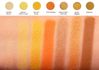 lemon-drop-swatches_7.jpg