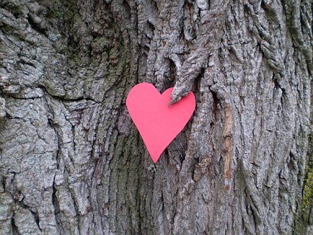 heart-tree1.jpg