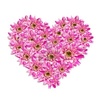 flowerheart2.jpg