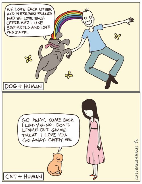 cat-versus-human_large.jpg