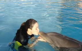 dolphin kiss.jpg