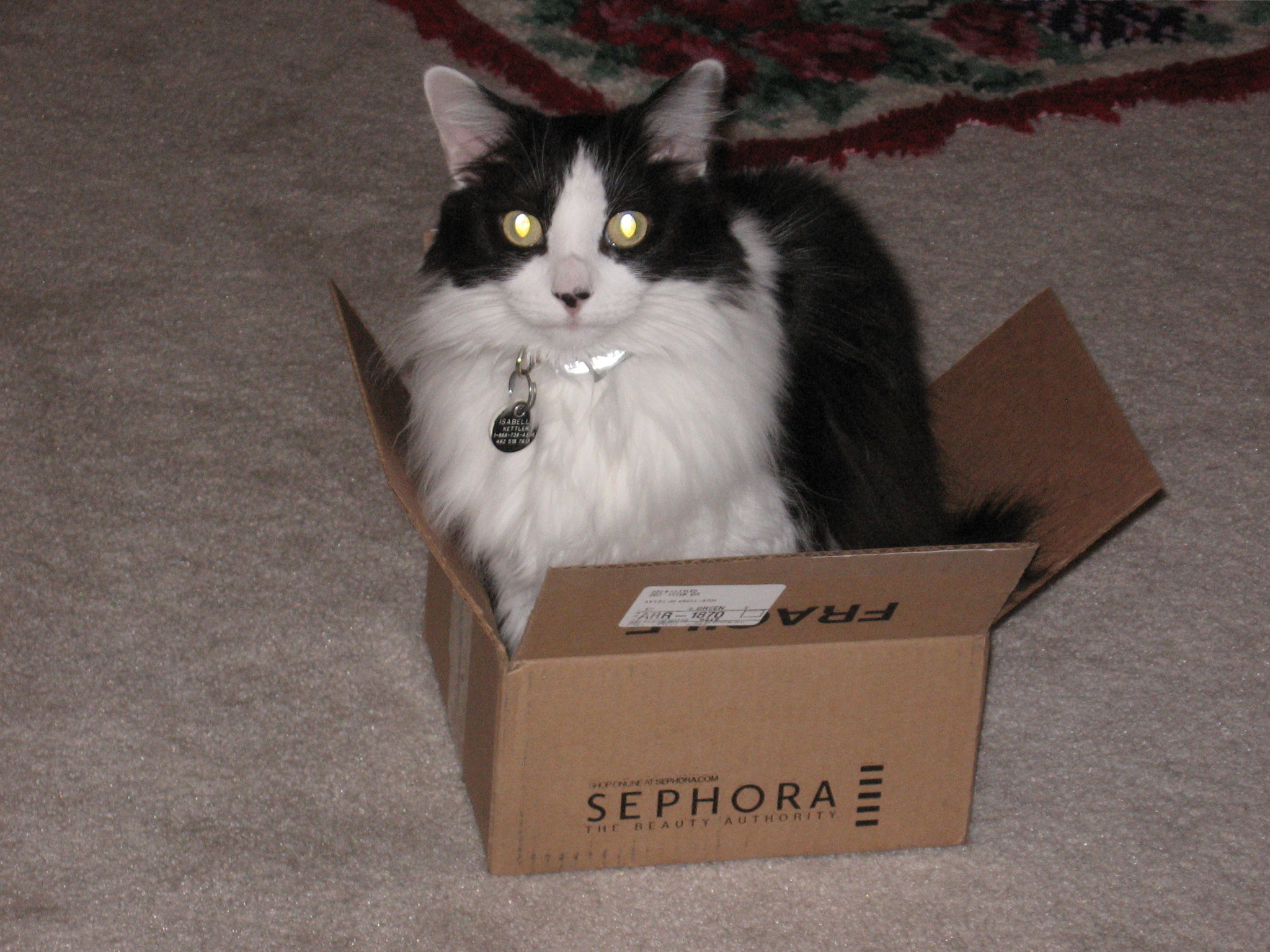 Isabella in Sephora Box.JPG