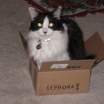 Isabella in Sephora Box.JPG