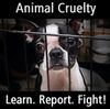 fight-animal-cruelty.jpg