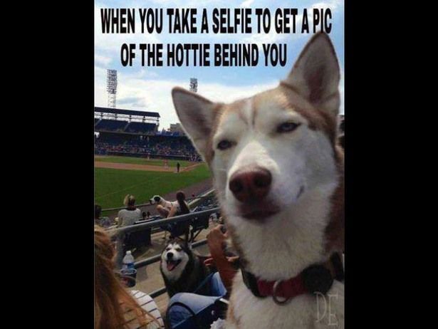 dogselfie.jpg