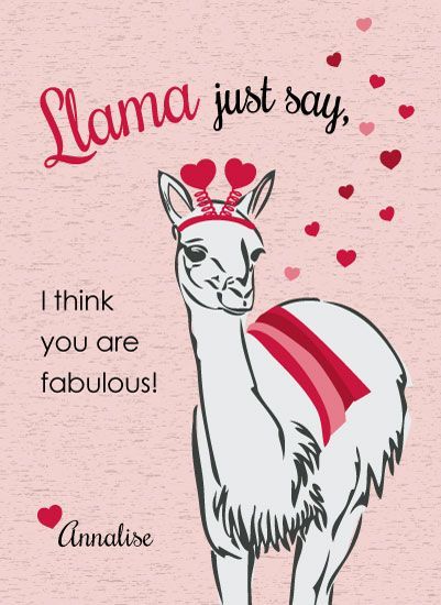 llamalove.jpg