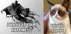 Dementors vs grumpy cat.jpg