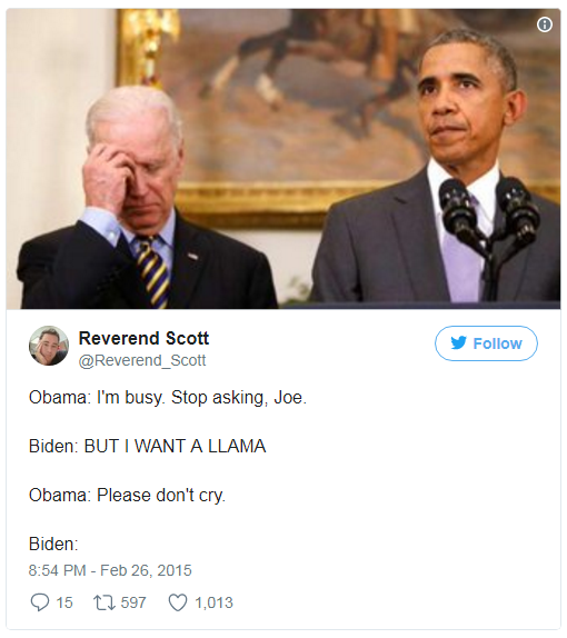 obamabidenllamameme.PNG