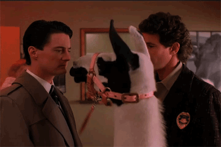 giphy (28).gif