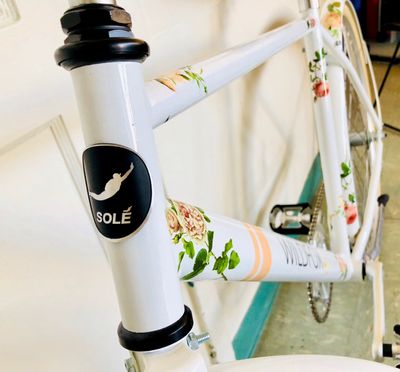 Sole logo on the front of the bike