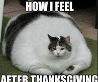 How-I-Feel-After-Thanksgiving.jpeg