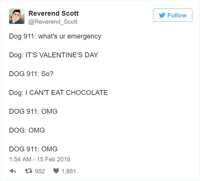 Never in my life have I felt so guilty then when I eat chocolate. I feel like my dogs are always giving me the death stare. LOL I'm sorry, please don't call the pup emergency hotline on me!