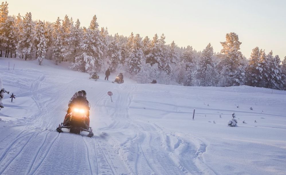 We snowmobiled the beautiful scenery of Lapland.