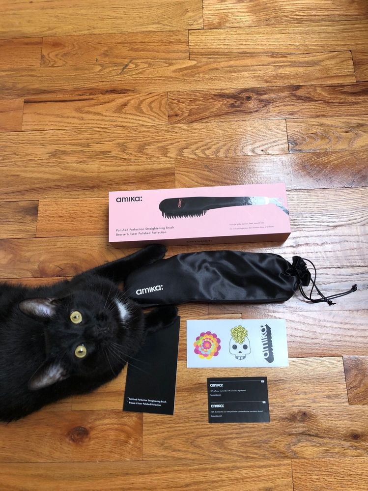 Trying to take a flat lay with a cat